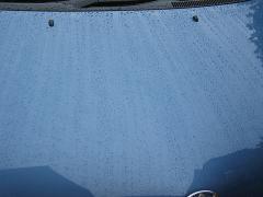Blue Prius (rain 2)