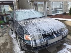 During wash