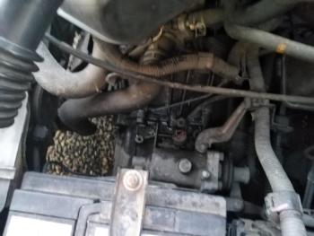 petrol leak on gearbox.jpg