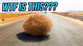 So-What-Actually-is-a-Tumbleweed-Anyway.jpg